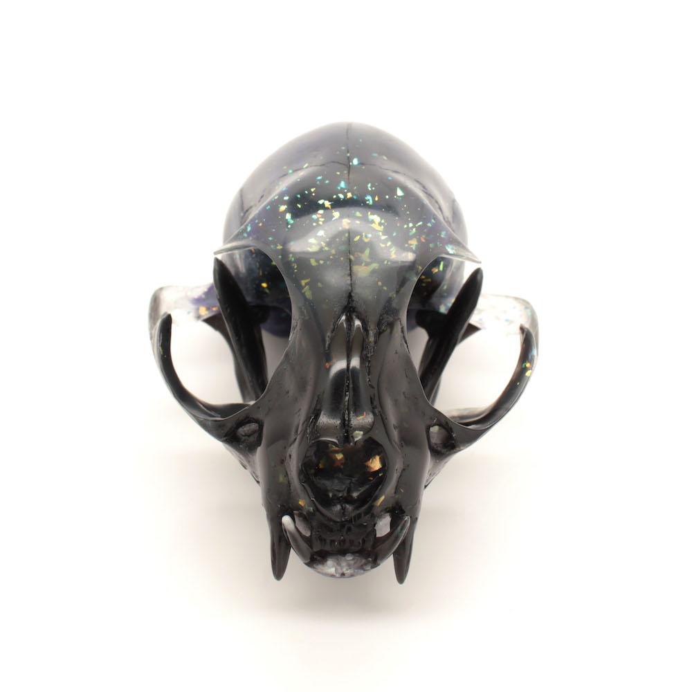 skulls and sculptures