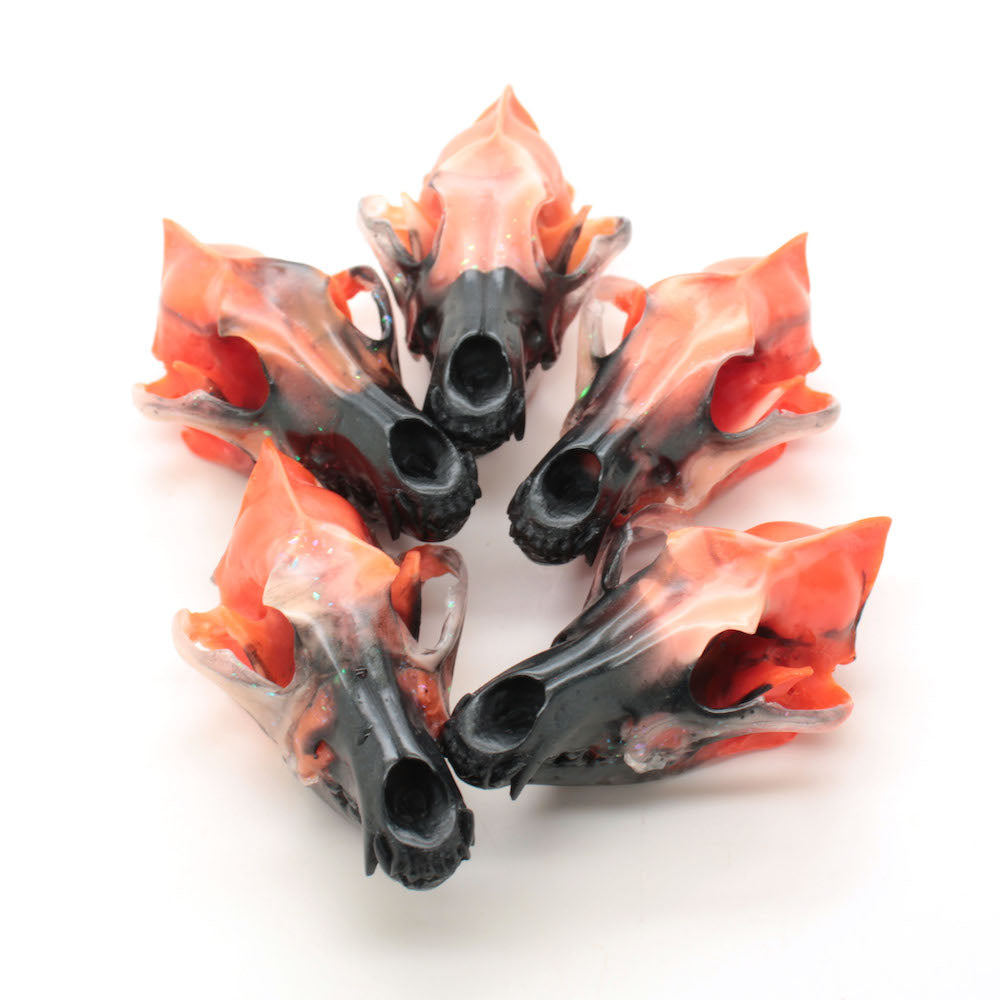 PUMPKIN SPICE mini coyote skull