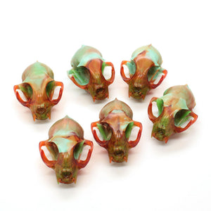 CARAMEL APPLE mini cat skull