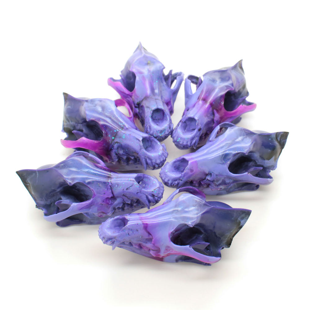 POTION mini coyote skull