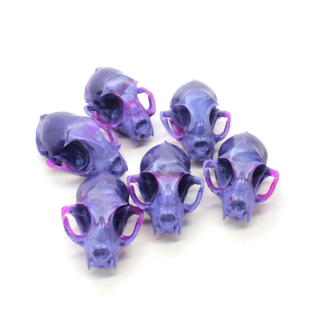 POTION mini cat skull