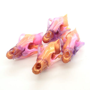 ASTRA mini coyote skull