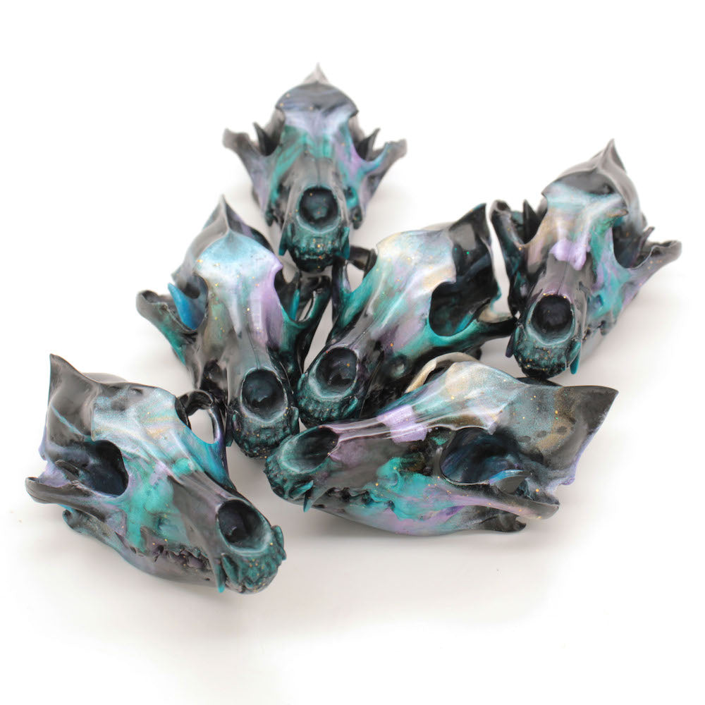 NOVA mini coyote skull