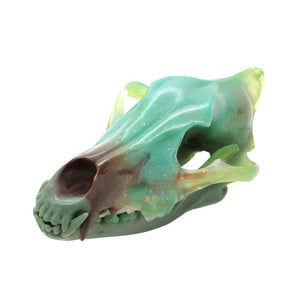 SWAMP wolf skull I