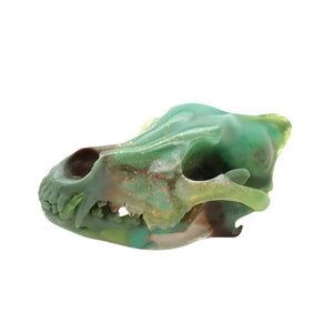 SWAMP wolf skull II