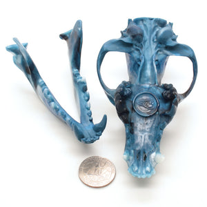 GLACIER wolf skull I