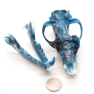 GLACIER wolf skull II