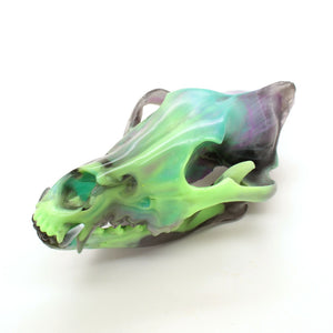 NORTHERN LIGHTS wolf skull I