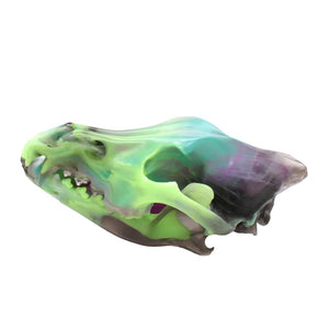 NORTHERN LIGHTS wolf skull I