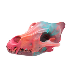 ANDY wolf skull I