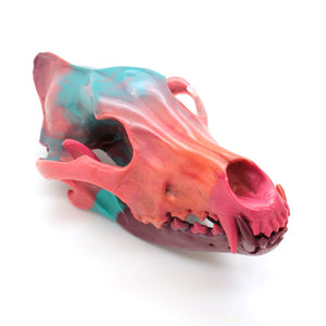 ANDY wolf skull I