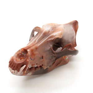 BOULDER OPAL wolf skull I