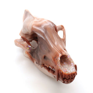 BOULDER OPAL wolf skull II