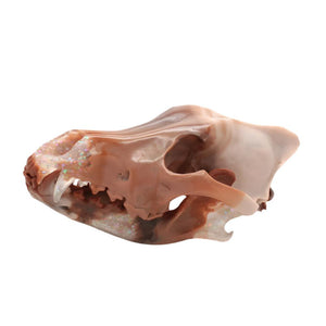 BOULDER OPAL wolf skull II