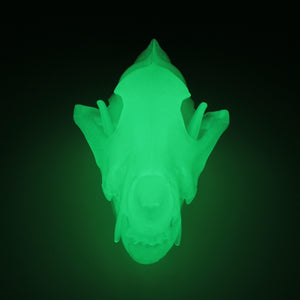 GREEN GLOW wolf skull