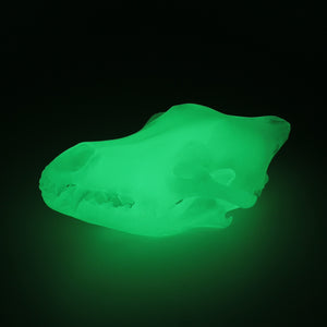 GREEN GLOW wolf skull