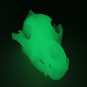 GREEN GLOW wolf skull - life size