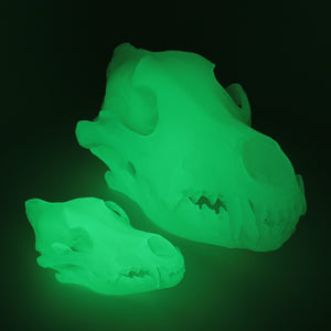 GREEN GLOW wolf skull - life size