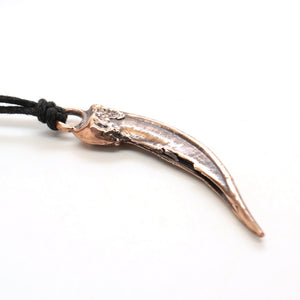 bronze badger claw