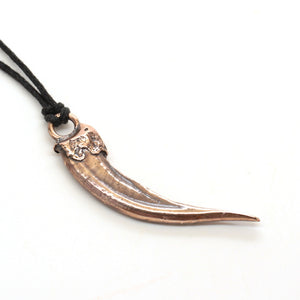 bronze badger claw