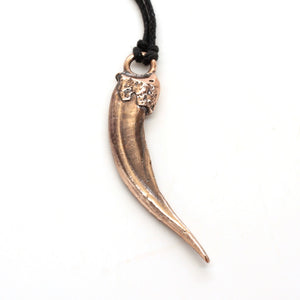 bronze badger claw