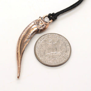 bronze badger claw