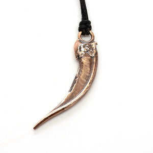 bronze badger claw