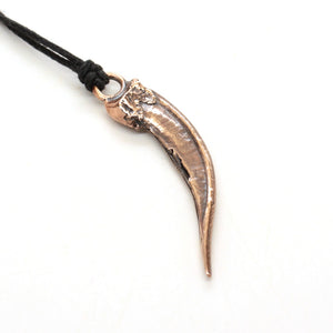 bronze badger claw