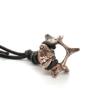 bronze fawn vertebrae