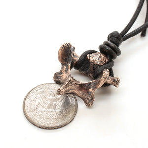 bronze fawn vertebrae