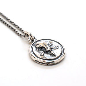 silver skull medallion