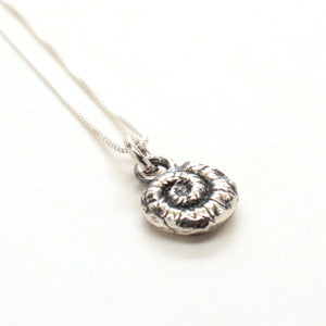 silver fern spiral
