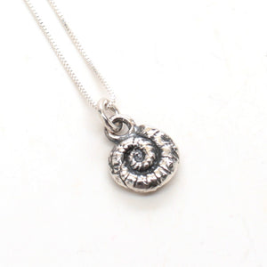 silver fern spiral