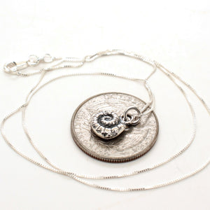 silver fern spiral