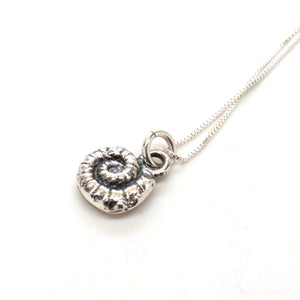 silver fern spiral