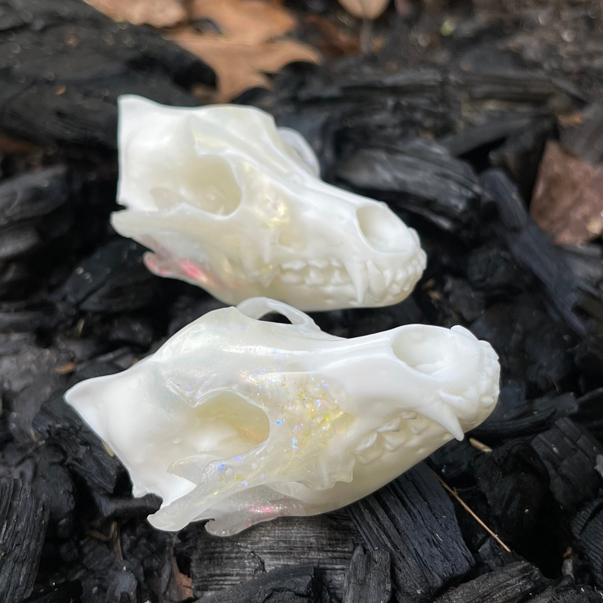 GHOST mini coyote skull