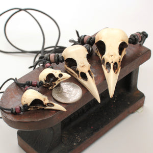 sparrow skull necklace