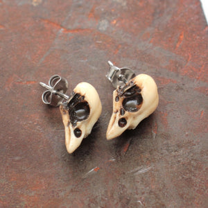 mini sparrow studs - bone