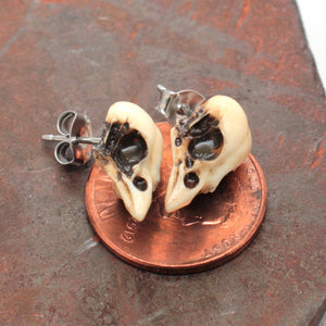 mini sparrow studs - bone