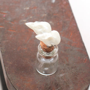 mini sparrow studs - pearl
