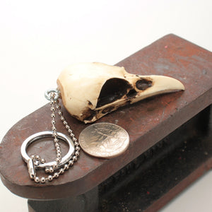 magpie skull keychain - bone