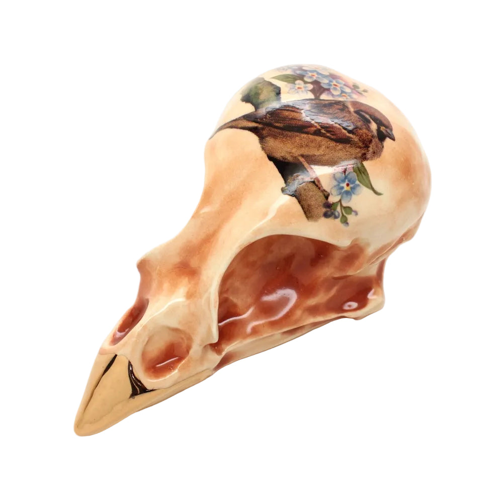 ceramic sparrow skull i