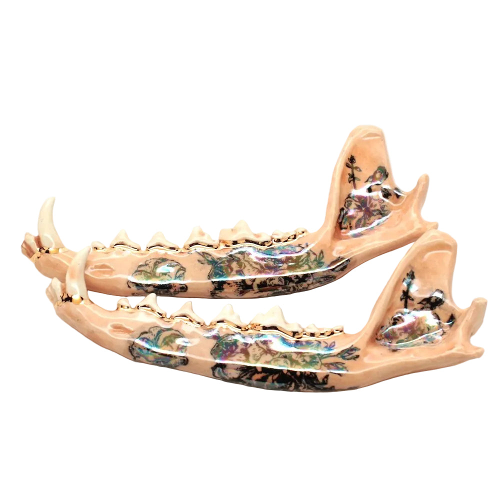 ceramic fox jaw vii