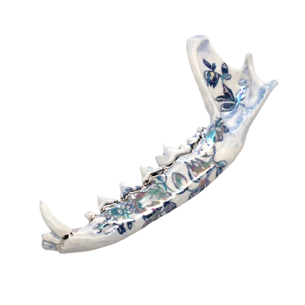 ceramic fox jaw i