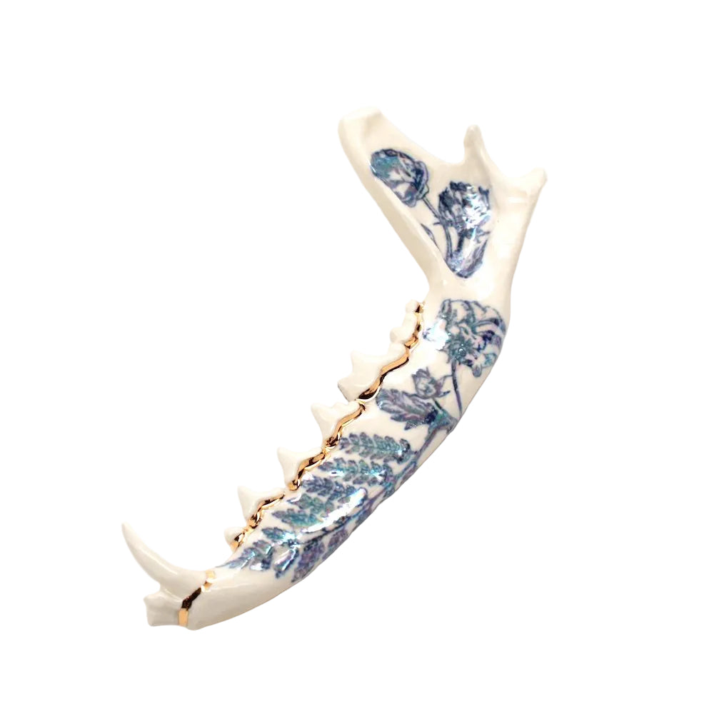 ceramic fox jaw ii