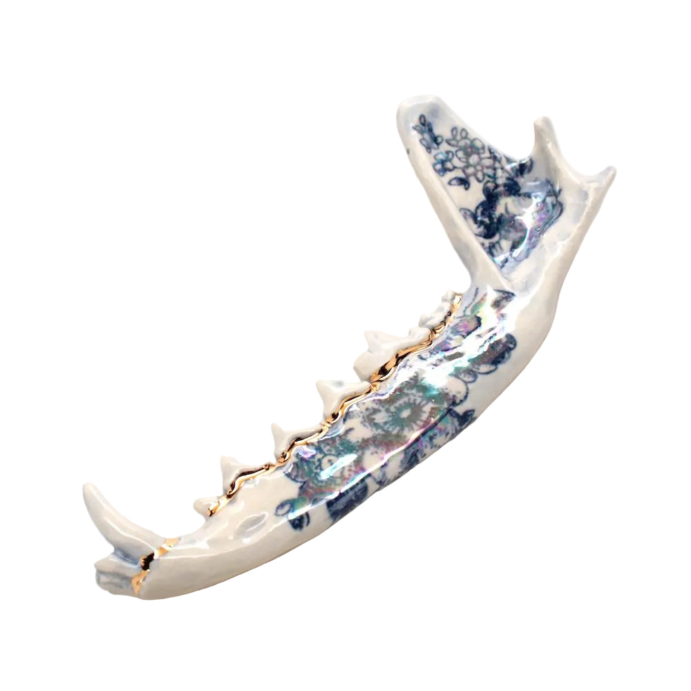 ceramic fox jaw iii