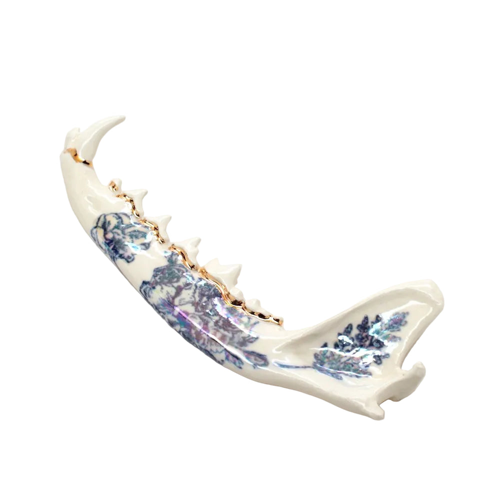 ceramic fox jaw iv