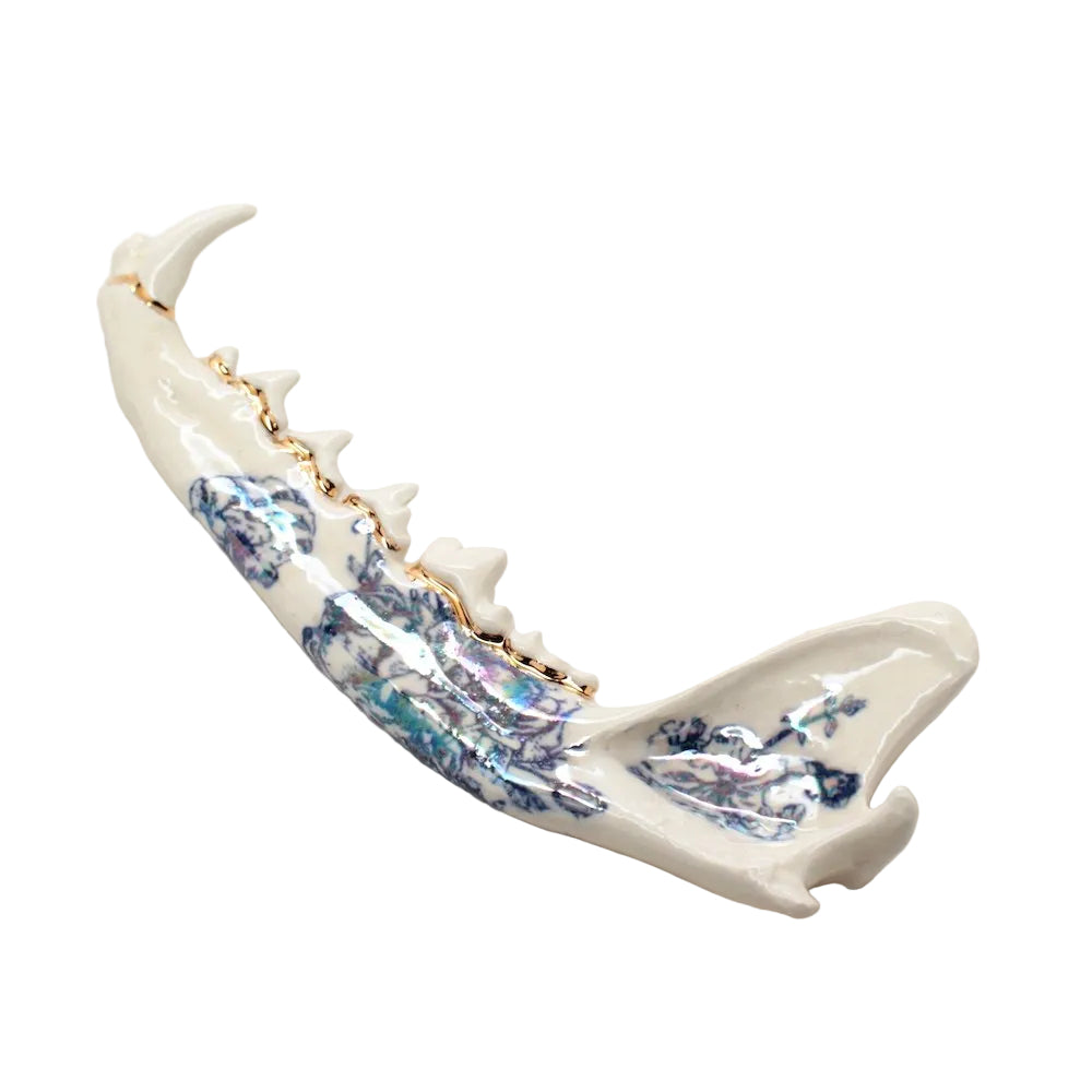 ceramic fox jaw v