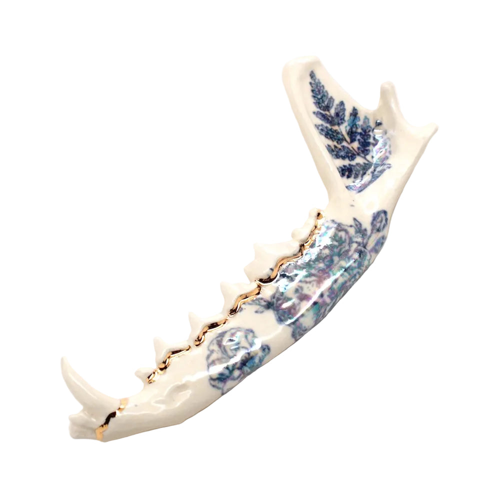 ceramic fox jaw vi
