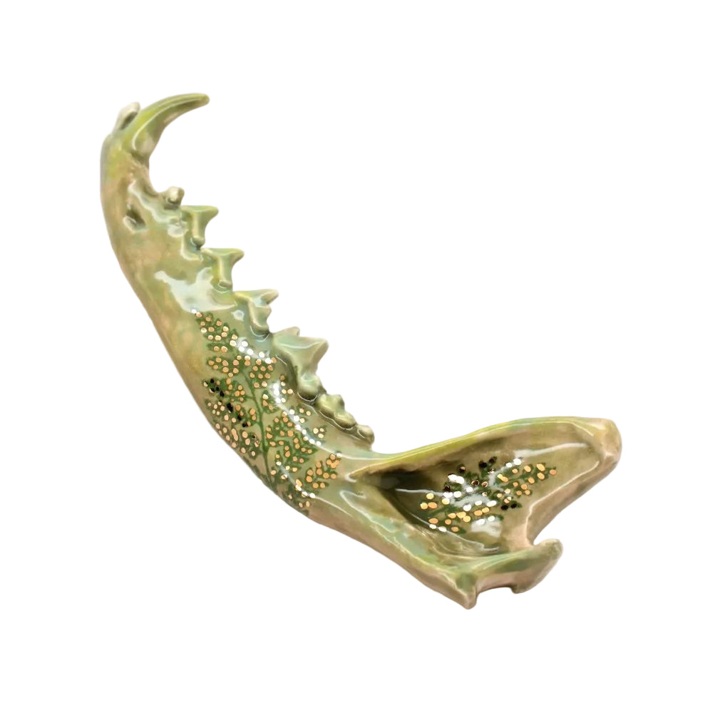 ceramic fox jaw x